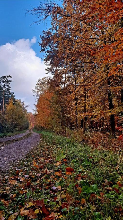 Przestronny Apartament +Silownia Bytom Bagian luar foto